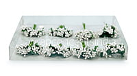 White Pollens