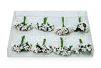 White Pollens