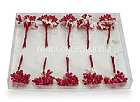 Flower Pollens with Pearl Center