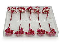 Flower Pollens with Pearl Center