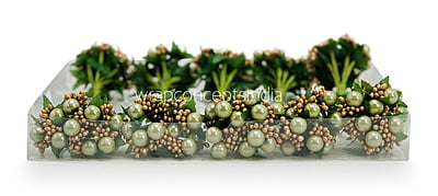 Pistachio & Gold Pearl Pollen