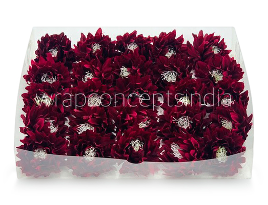 Maroon Water Lily