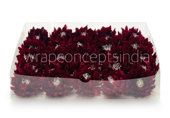 Maroon Water Lily
