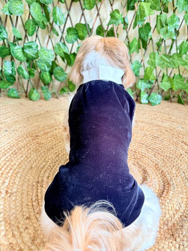 Tuxedo Bandana with Cape