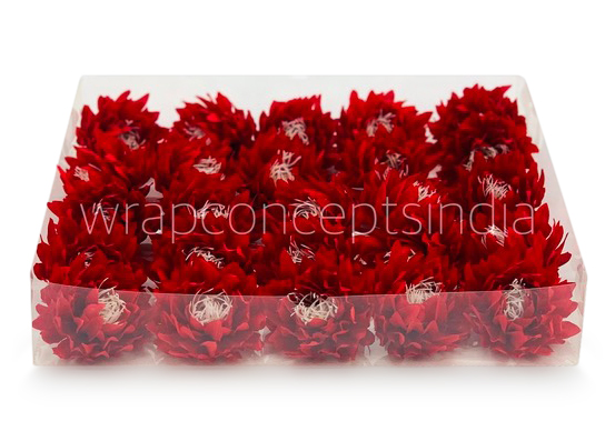 Red Water Lily