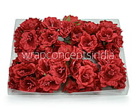 Red Daffodils on Stick