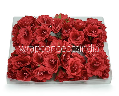 Red Daffodils on Stick