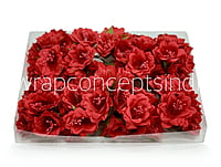 Red Daffodils on Stick