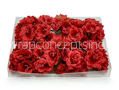 Red Daffodils on Stick