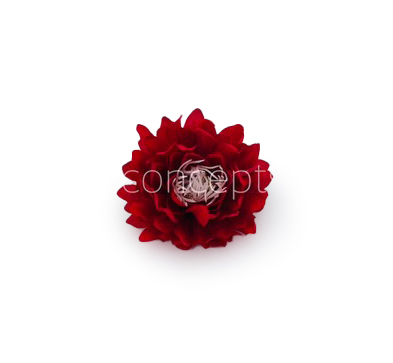 Red Water Lily