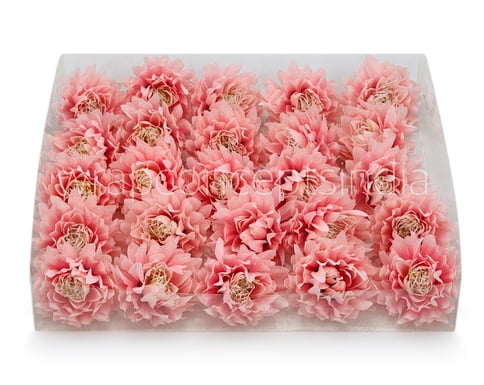 Rose Quartz Water Lily