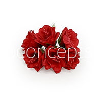 Red Daffodils on Stick