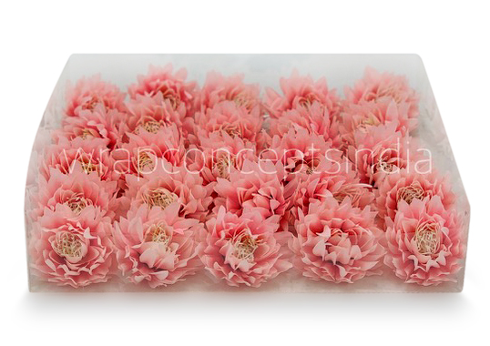Rose Quartz Water Lily