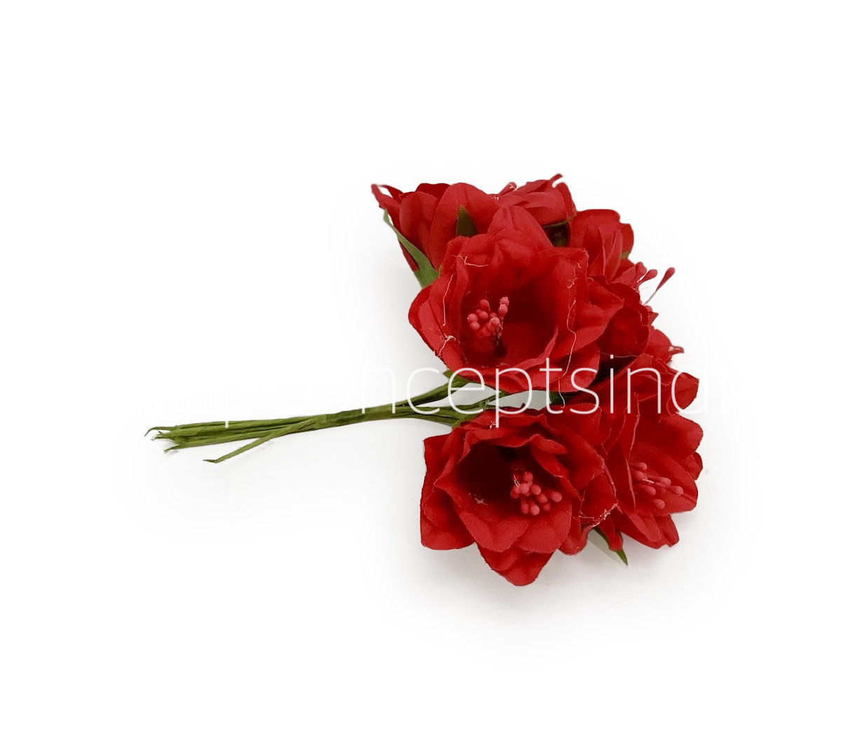 Red Daffodils on Stick