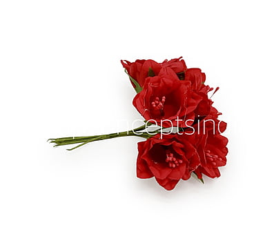 Red Daffodils on Stick