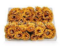 Mustard Daffodils on Stick