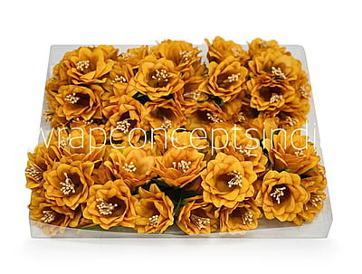 Mustard Daffodils on Stick