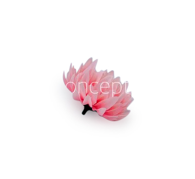 Rose Quartz Water Lily