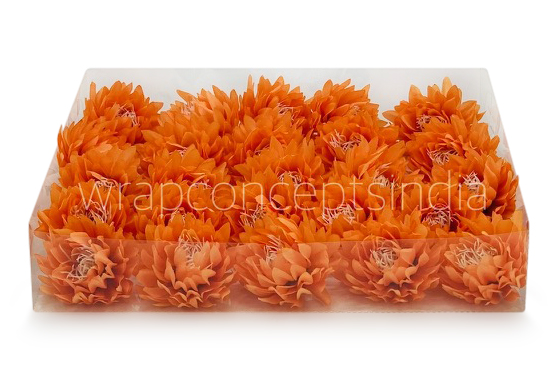 Tangerine Water Lily