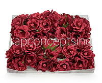 Maroon Daffodils on Stick