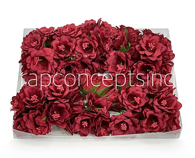 Maroon Daffodils on Stick