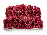 Maroon Daffodils on Stick