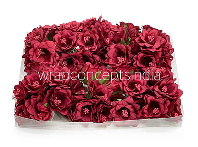 Maroon Daffodils on Stick