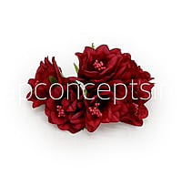 Maroon Daffodils on Stick