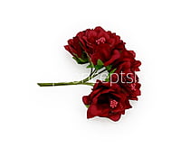 Maroon Daffodils on Stick