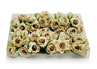 Ecru Daffodils on Stick