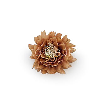 Toffee Water Lily Toffee Water Lily