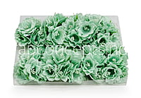 Mint Daffodils on Stick