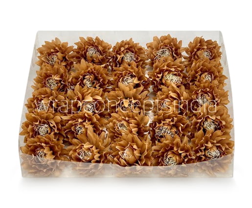 Cherry Wood Water Lily