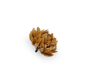 Cherry Wood Water Lily