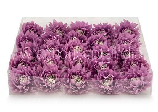 Lavender Water Lily