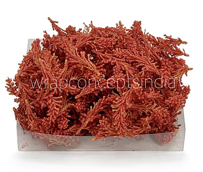 Coral Sugar Pine Leaves