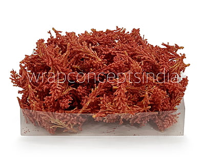 Coral Sugar Pine Leaves