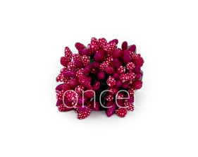 Fuchsia Pink Pollens