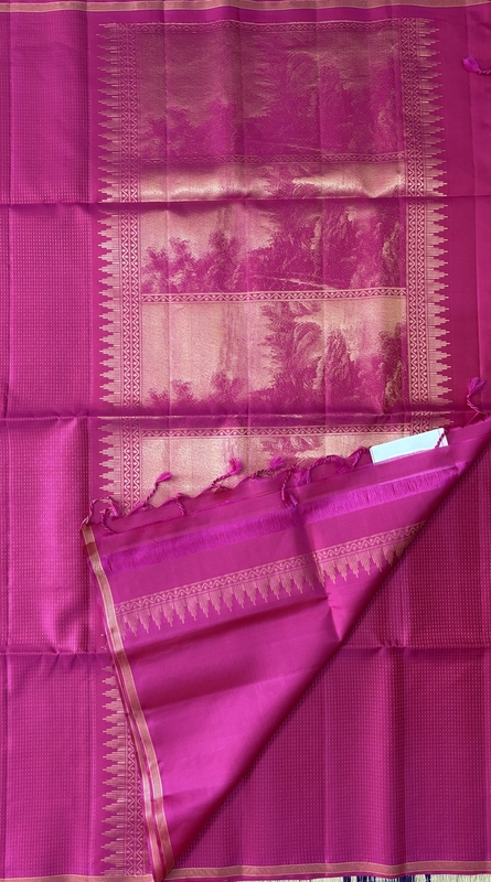 Shriya The Silk Walk Exclusives 23497