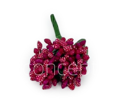 Fuchsia Pink Pollens
