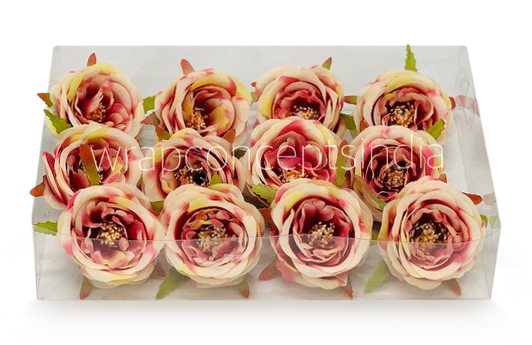 Camellia Flower - Cream with shades of Pink & Red