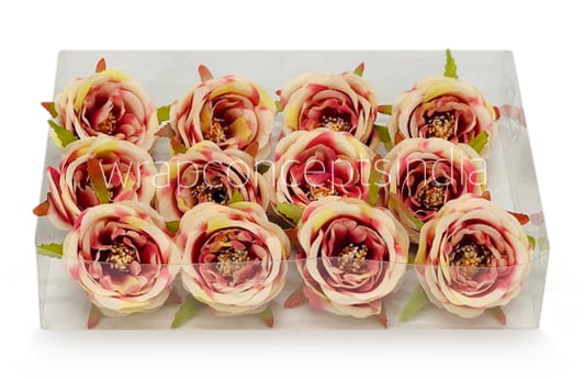 Camellia Flower - Cream with shades of Pink & Red
