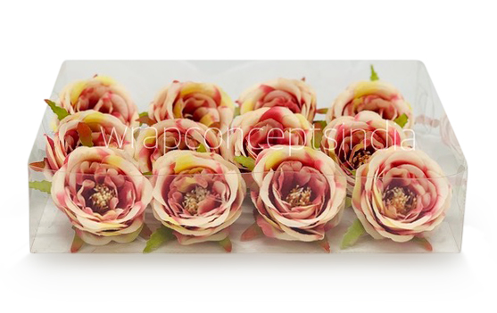Camellia Flower - Cream with shades of Pink & Red
