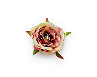 Camellia Flower - Cream with shades of Pink & Red