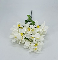 Cream Bougainvillea Flower Bunch