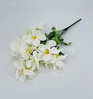 Cream Bougainvillea Flower Bunch