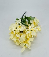 Cream Bougainvillea Flower Bunch