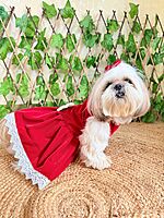 Red Velvet Dress