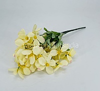 Cream Bougainvillea Flower Bunch