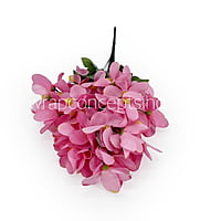 Bougainvillea Flower Bunch